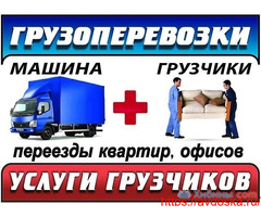 Грузчики, Грузоперевозки, Газели